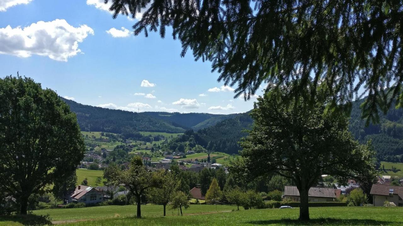 Schwarzwaelder Ferienwohnungen Seelbach  Exterior photo