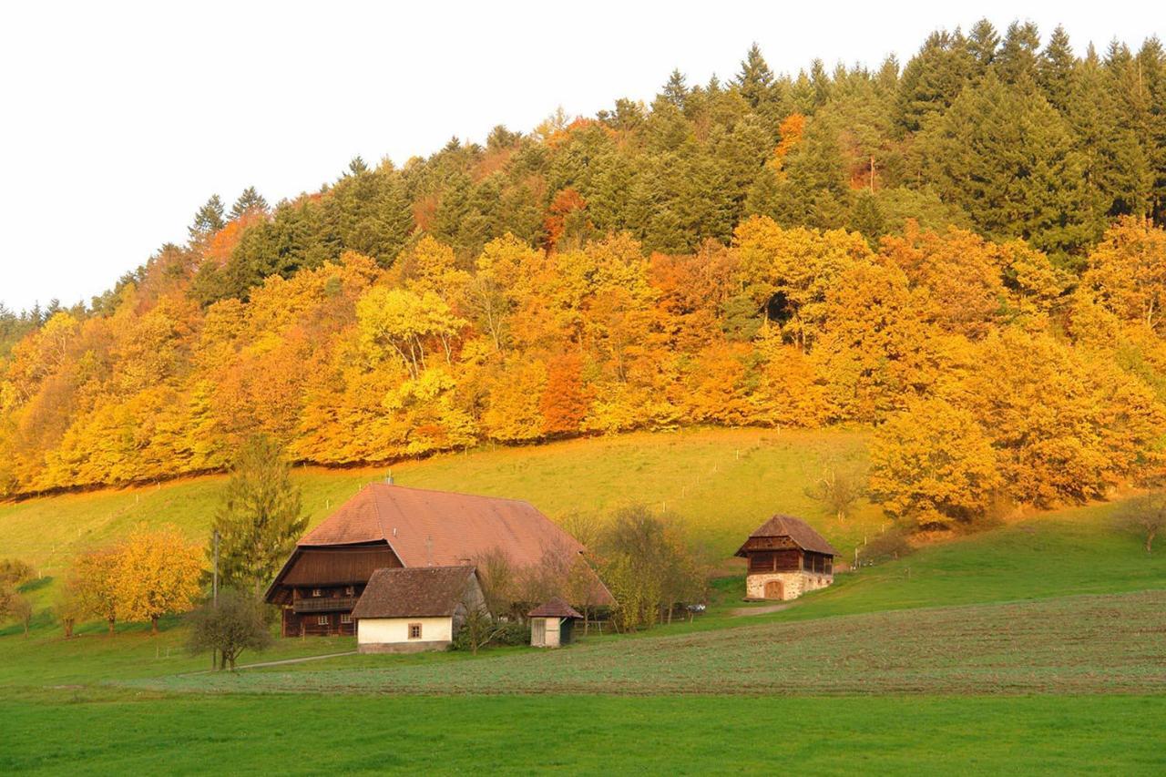 Schwarzwaelder Ferienwohnungen Seelbach  Exterior photo