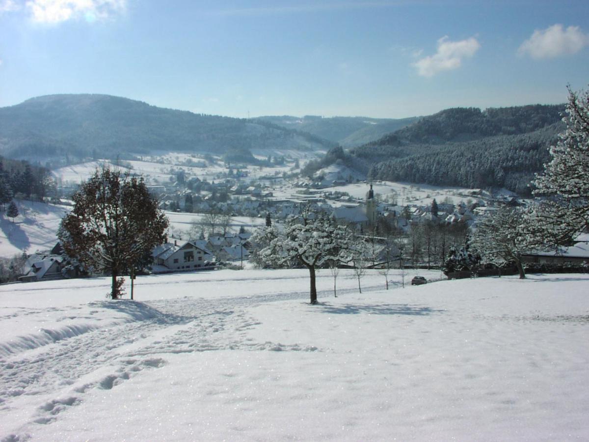 Schwarzwaelder Ferienwohnungen Seelbach  Exterior photo