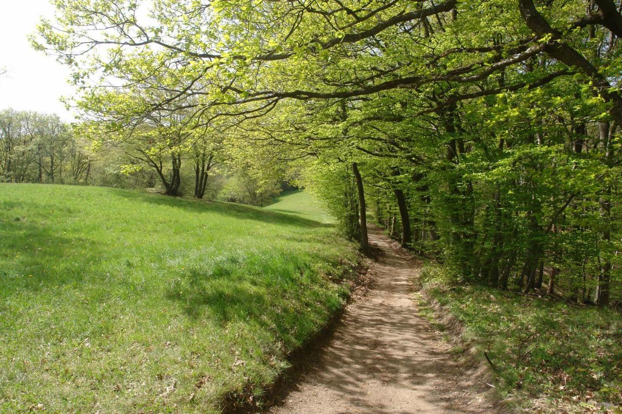 Schwarzwaelder Ferienwohnungen Seelbach  Exterior photo