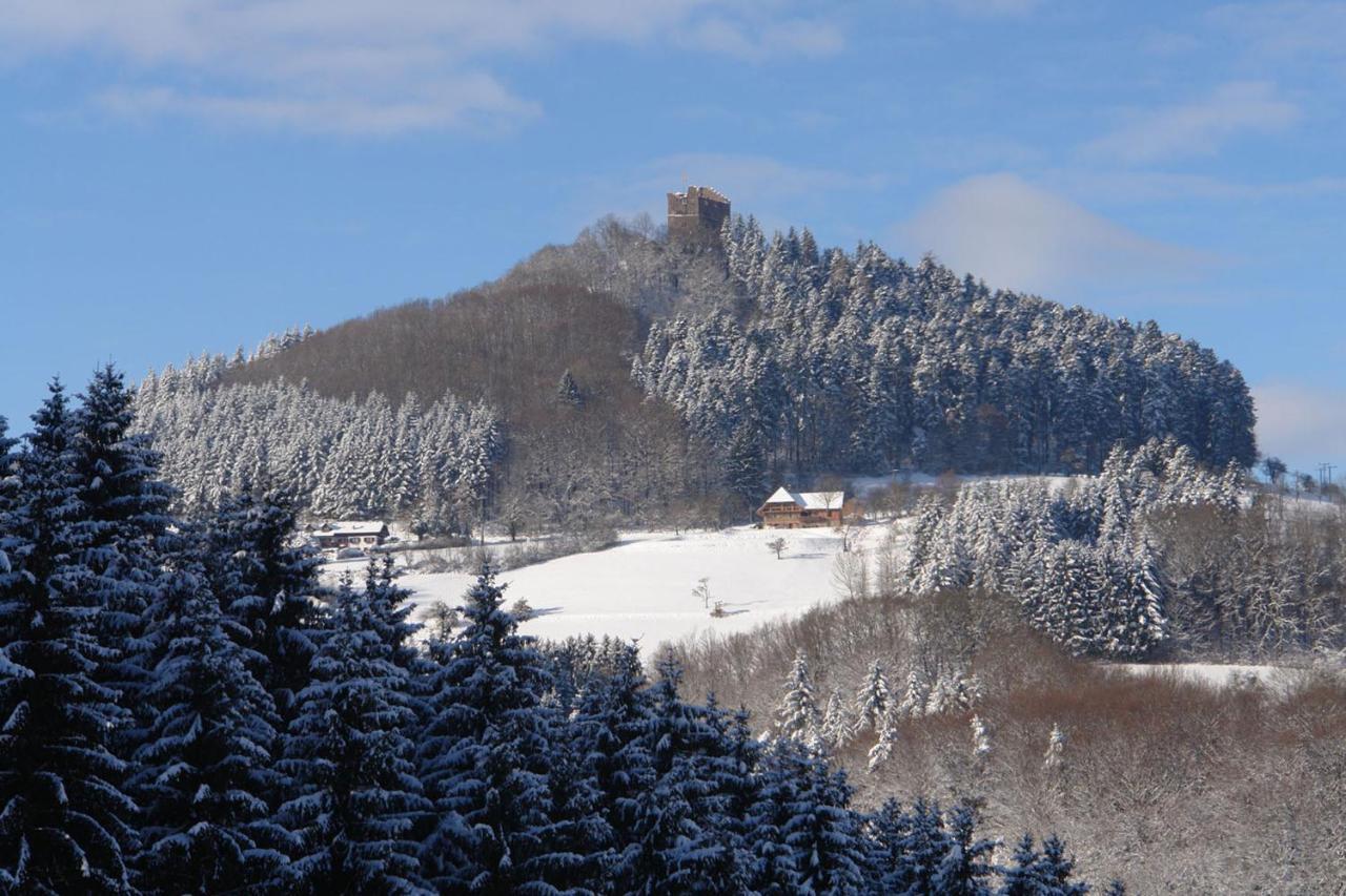 Schwarzwaelder Ferienwohnungen Seelbach  Exterior photo