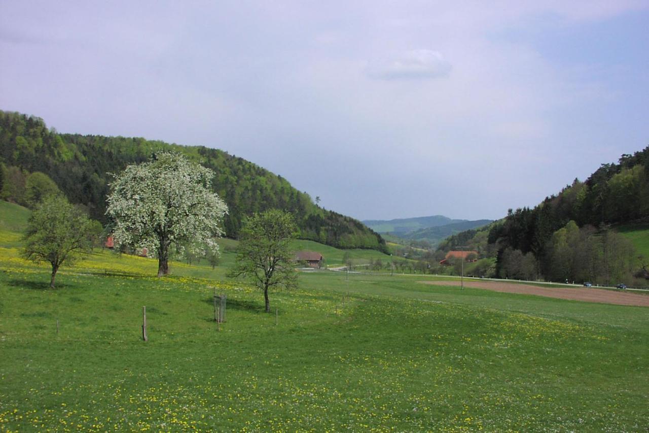 Schwarzwaelder Ferienwohnungen Seelbach  Exterior photo