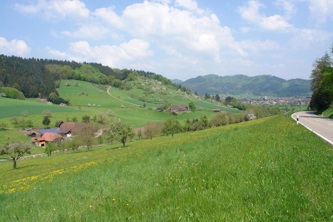 Schwarzwaelder Ferienwohnungen Seelbach  Exterior photo