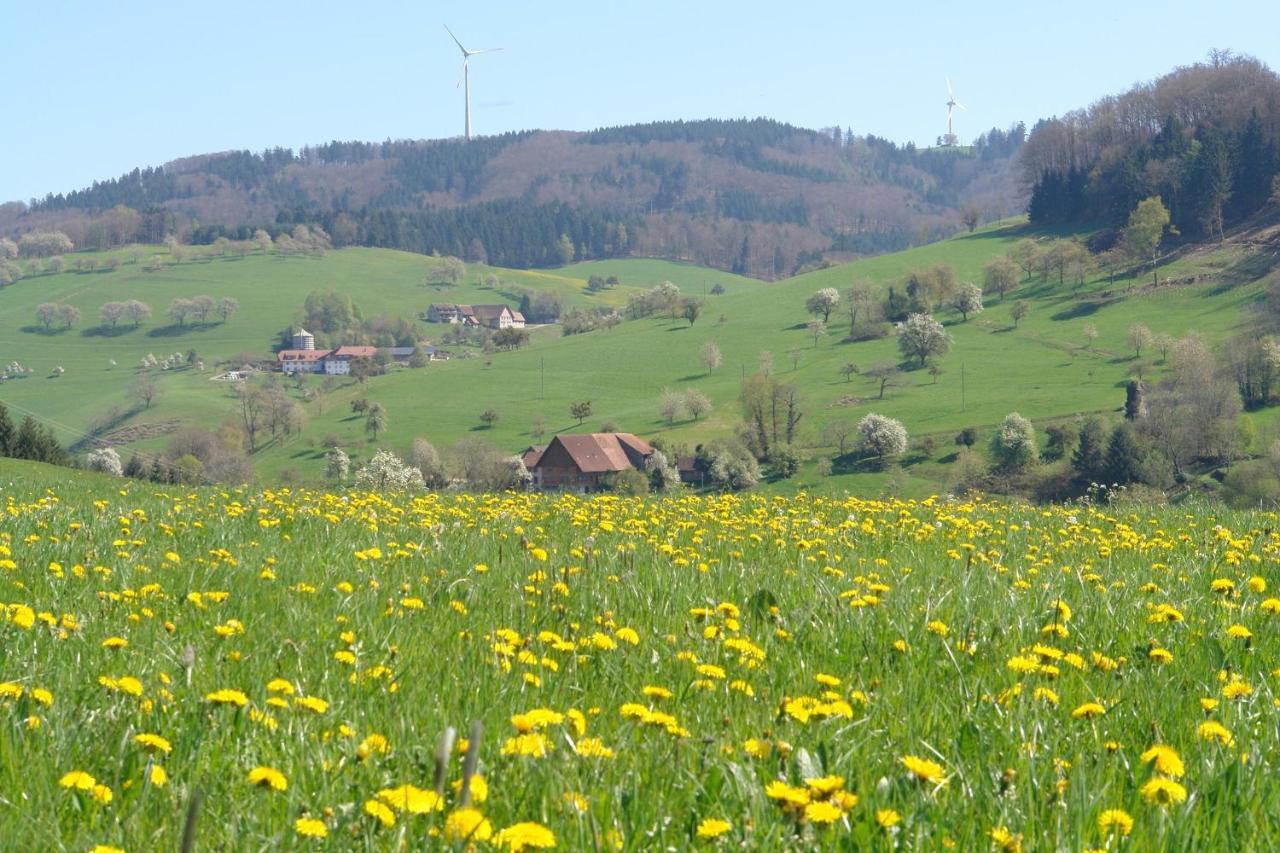 Schwarzwaelder Ferienwohnungen Seelbach  Exterior photo